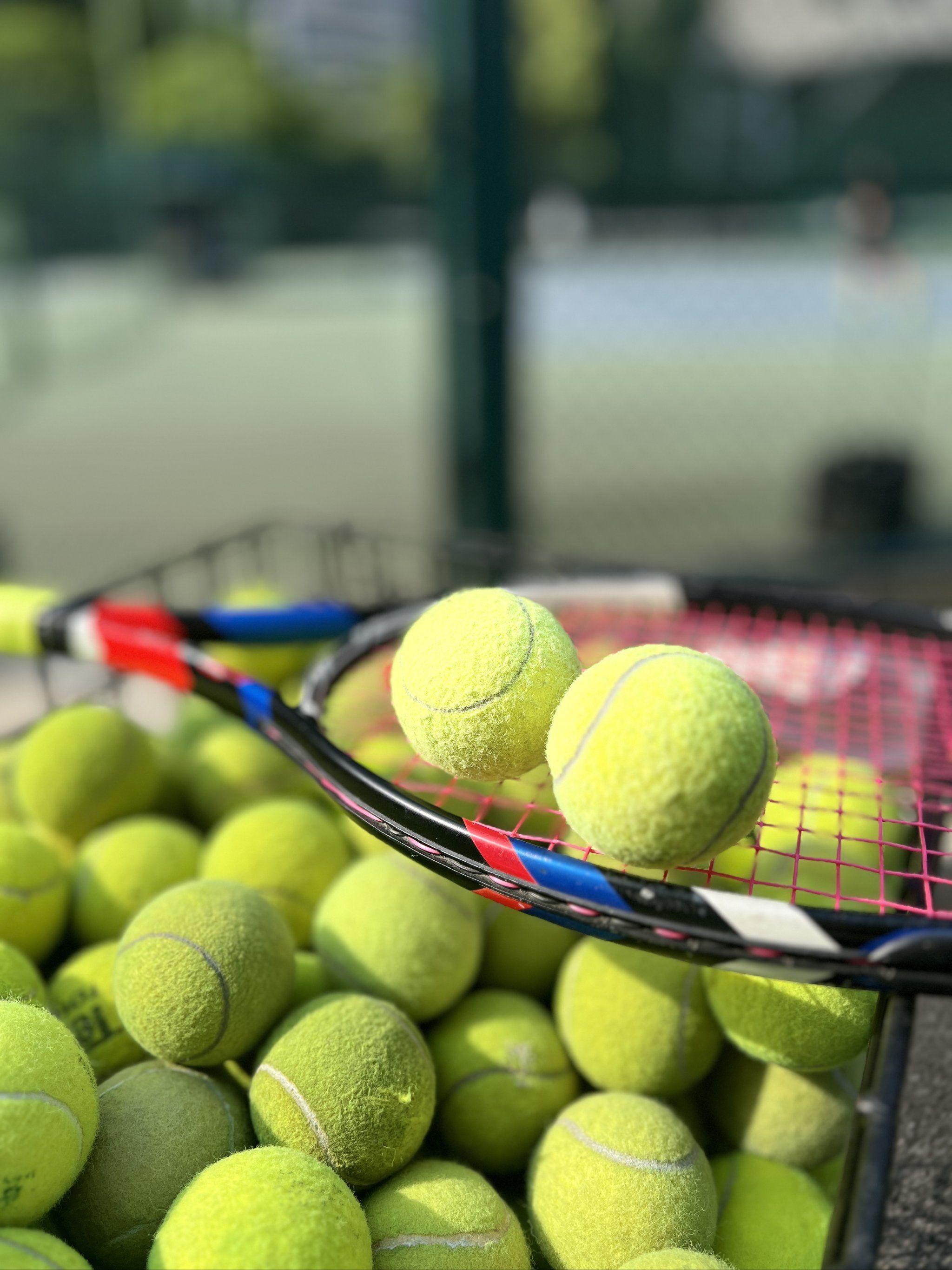 一直以来对 一直以来对