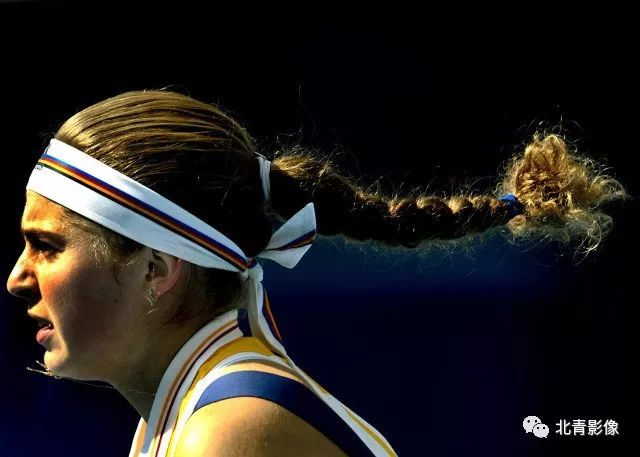 性价比极高 性价比极高